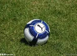 范冰冰井柏,然团队揭露,涉吴亦凡案,米博体育平台,米博体育官方网站,米博体育登录入口,米博体育app下载