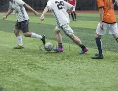 力盛体育,日主力资金,净流出,米博体育平台,米博体育官方网站,米博体育登录入口,米博体育app下载