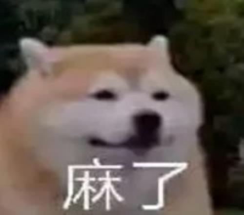 揭秘,金种子情报,集结,米博体育平台,米博体育官方网站,米博体育登录入口,米博体育app下载