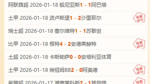 英足總更換歐足聯賽事安保人員，携手新合作伙伴共守安全防线